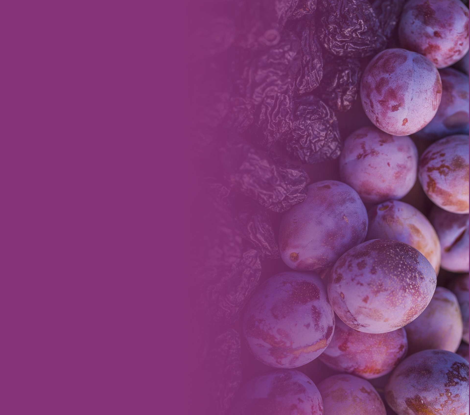 Ausprunes Prunes in Australia